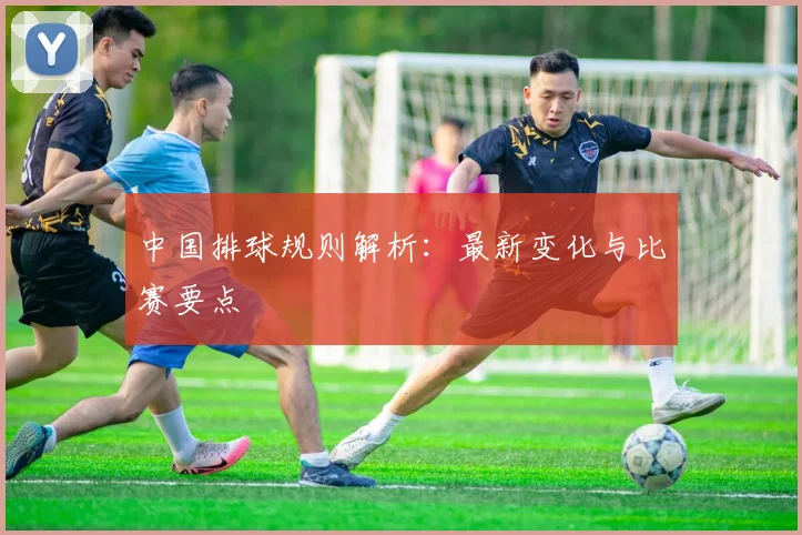 中国排球规则解析：最新变化与比赛要点